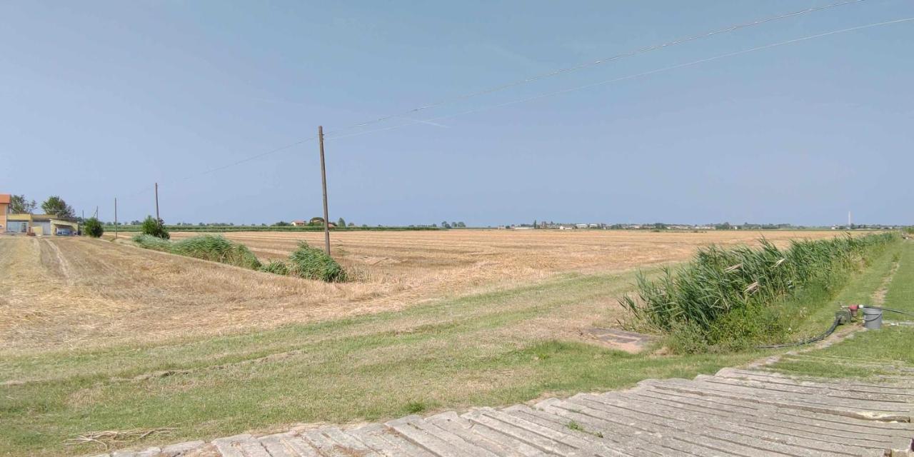 Agriturismo La Fraterna Tolle المظهر الخارجي الصورة