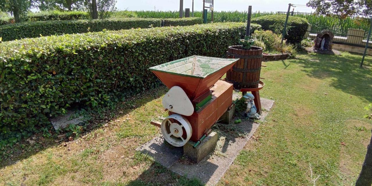 Agriturismo La Fraterna Tolle المظهر الخارجي الصورة